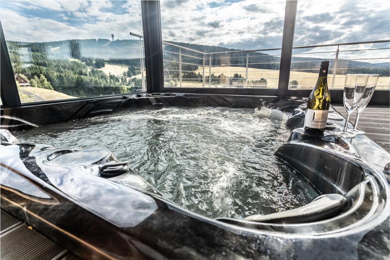 Villa Wellness Klinovec Views Loucna pod Klinovcem